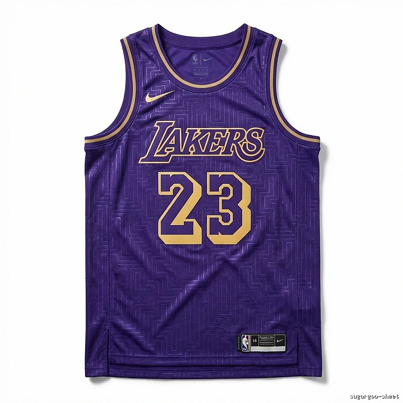 LBJ Lakers retro purple jersey